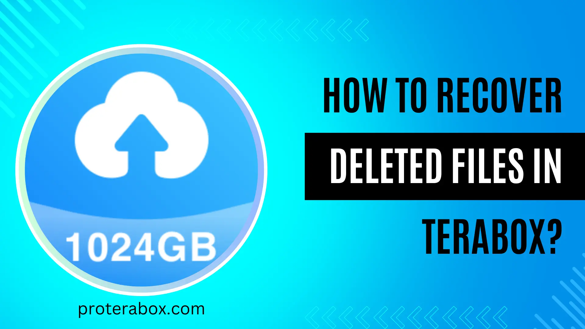 Recover Deleted Files In TeraBox