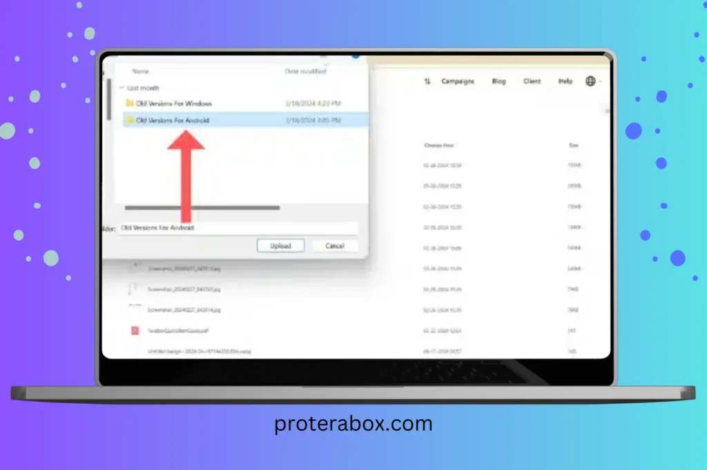 proterabox.com 10